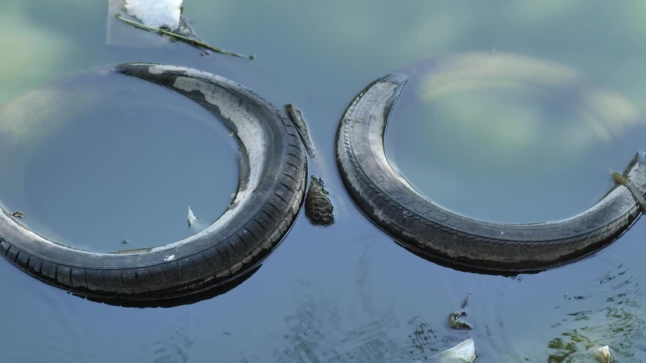 Stock Video Pair Of Old Tires Submerged In The Water Of A Live Wallpaper - Free Download
