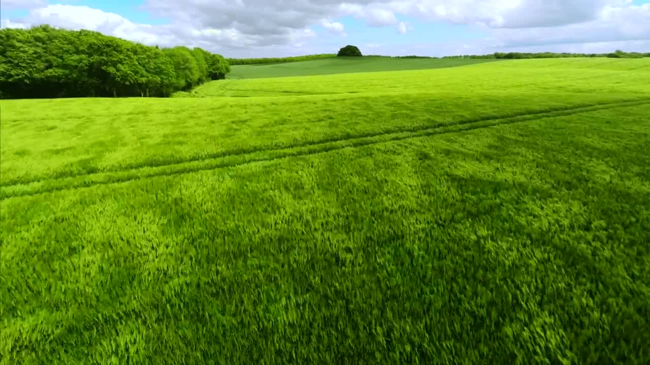 Stock Footage Windswept Grasslands Live Wallpaper - Free Download