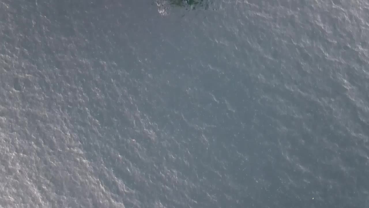 Free Video Stock top aerial shot of a cargo ship anchored Live Wallpaper - Free Download