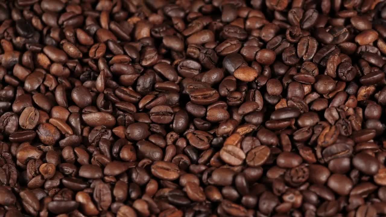 Stock Video Coffee Beans Live Wallpaper For PC - Free Download