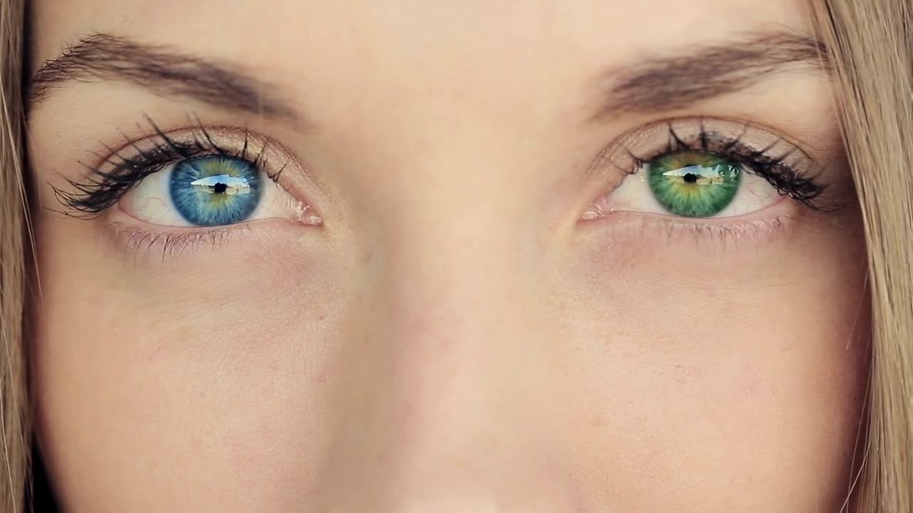 Stock Video Eyes Of A Woman Of Different Colors Heterochromia Live Wallpaper For PC - Free Download