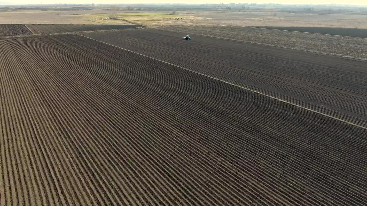 Free Video Stock tractor working on a large agricultural field  largeLive Wallpaper - Free Download