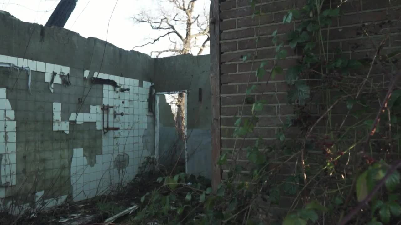 Free Stock Video Ruined Roofless House Live Wallpaper - Free Download