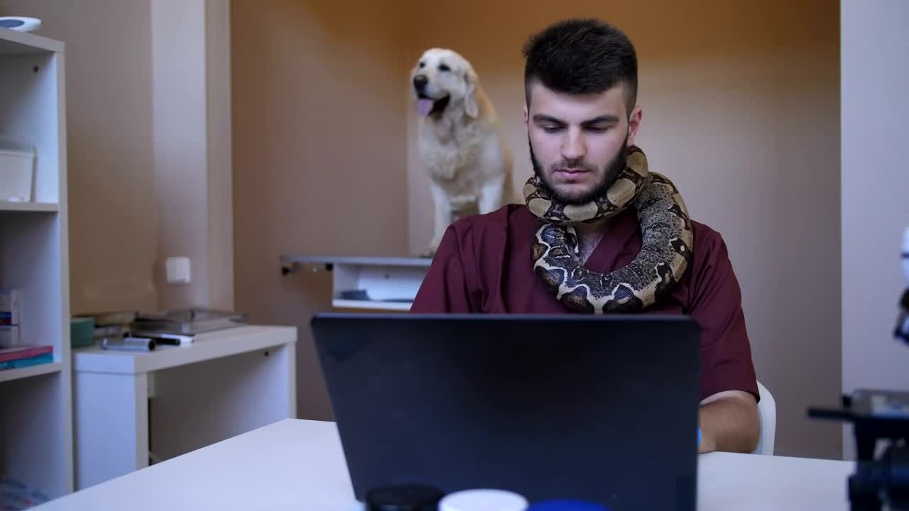 Stock Footage Vet Working While Holding A Snake Live Wallpaper - Free Download