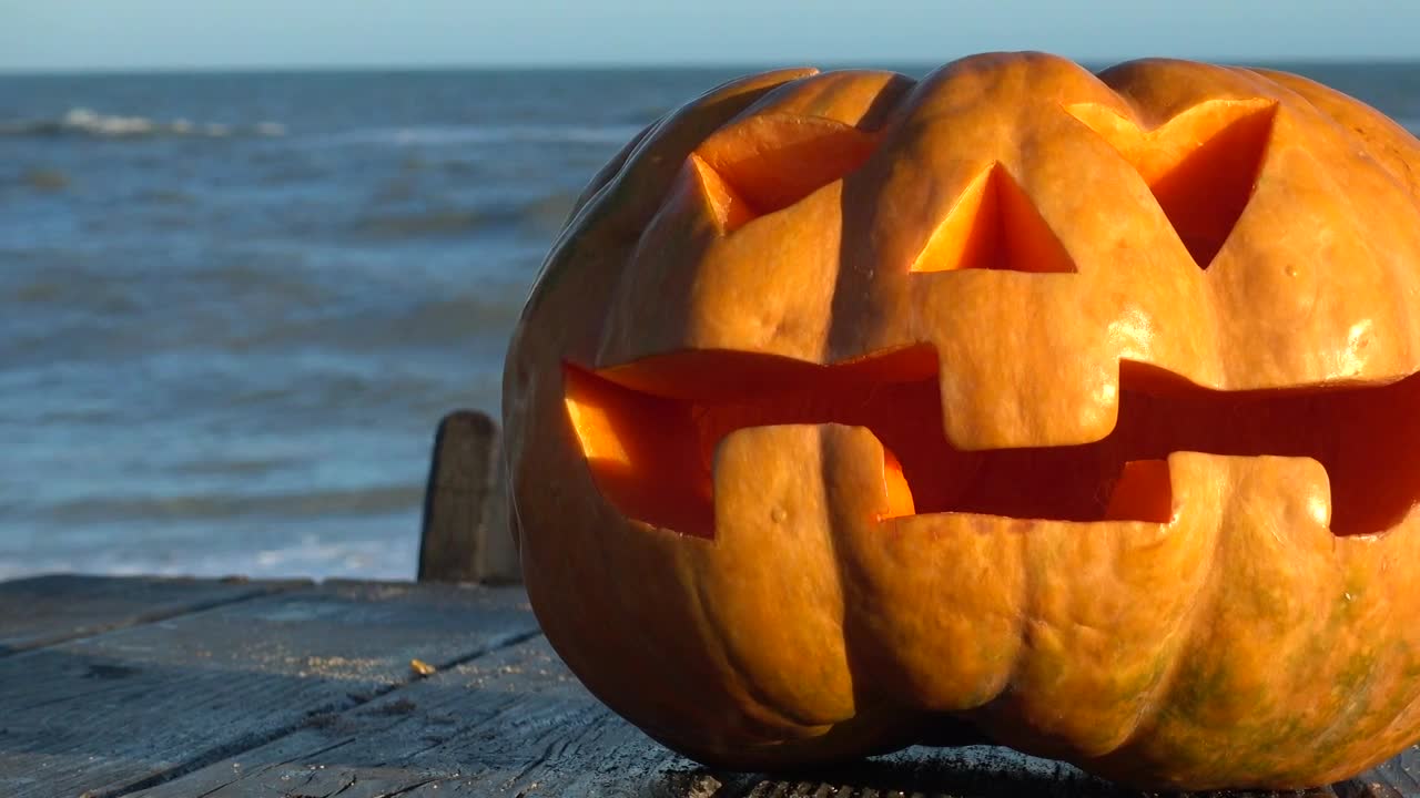 Video Stock Carved Halloween Pumpkin Live Wallpaper For PC - Free Download