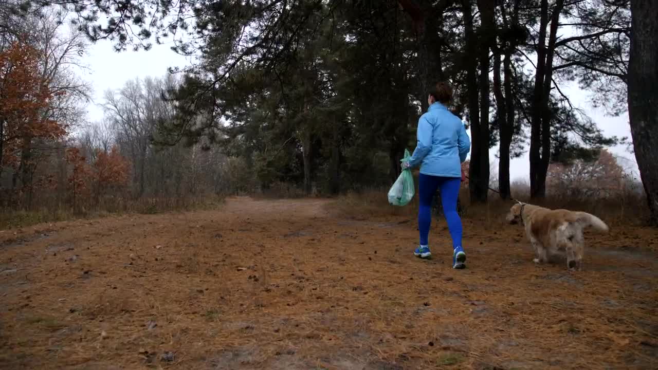 Stock Footage Woman And Her Dog Cleaning Woodland Live Wallpaper - Free Download