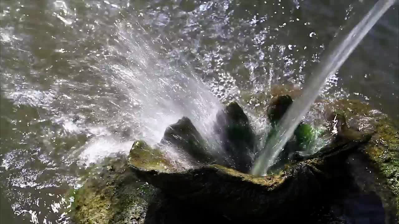 Stock Footage Water Fountain And Ornament Live Wallpaper - Free Download
