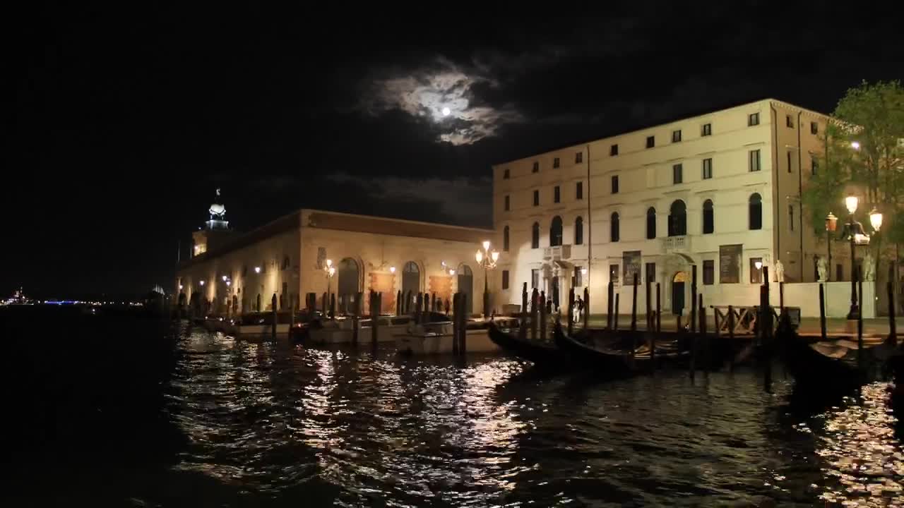 Stock Video Navigating The Central Canal Of Venice Live Wallpaper - Free Download
