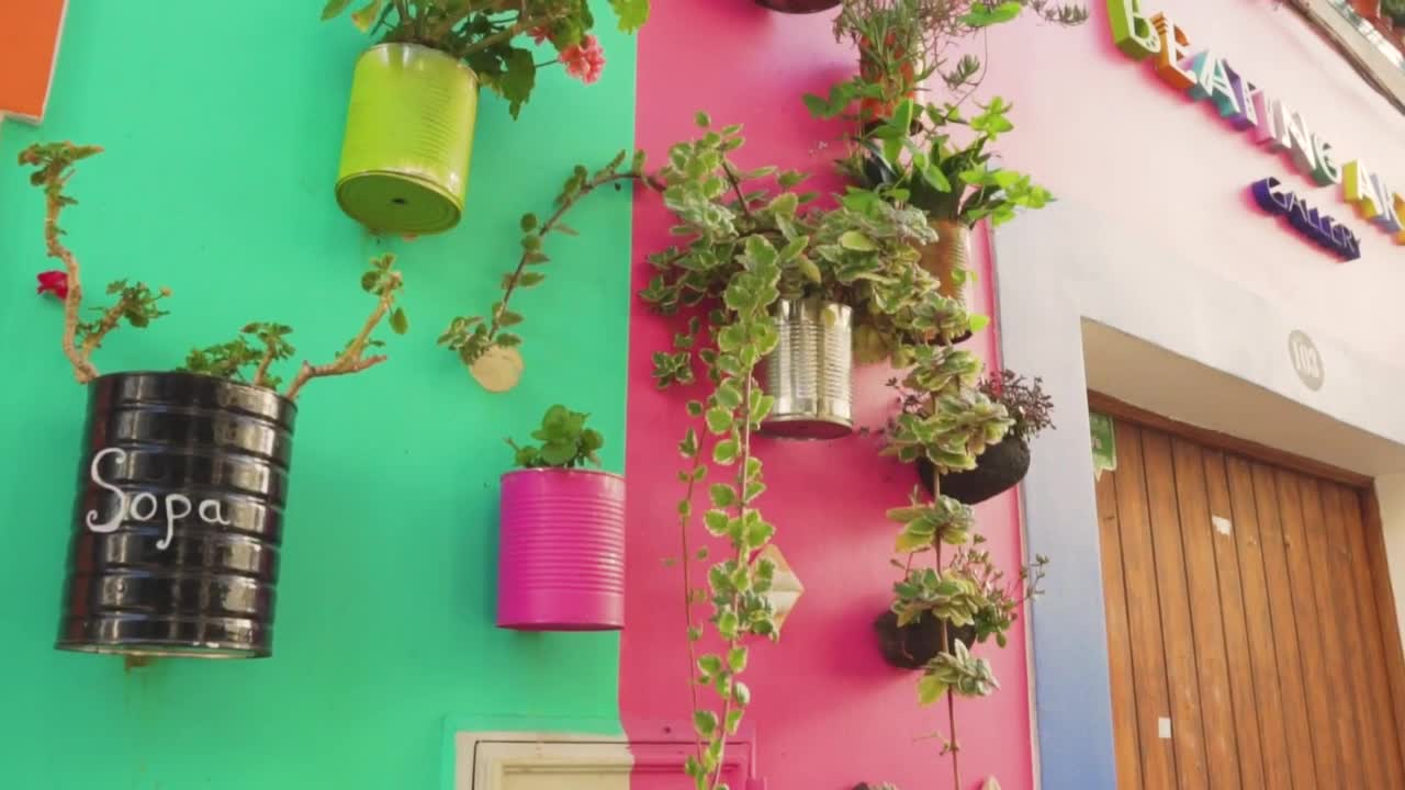 Stock Video Hanging Flowerpots In The Facade Animated Wallpaper - Free Download