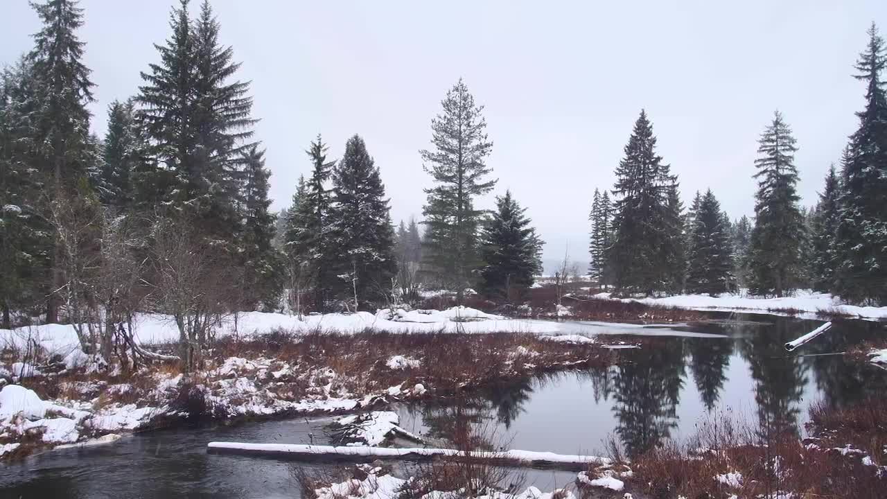 Free Stock Video River Flowing During A Cloudy Day In Canada Live Wallpaper - Free Download