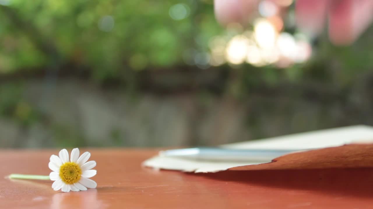 Free Stock Video Writing A Letter On A Sheet Next To A Daisy Live Wallpaper - Free Download