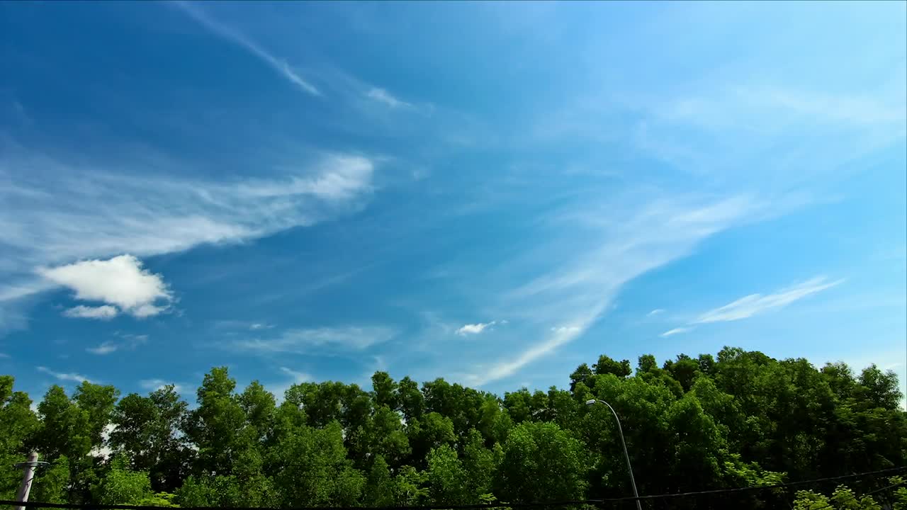 Stock Video Clouds Over The Tops Of Trees Live Wallpaper For PC - Free Download