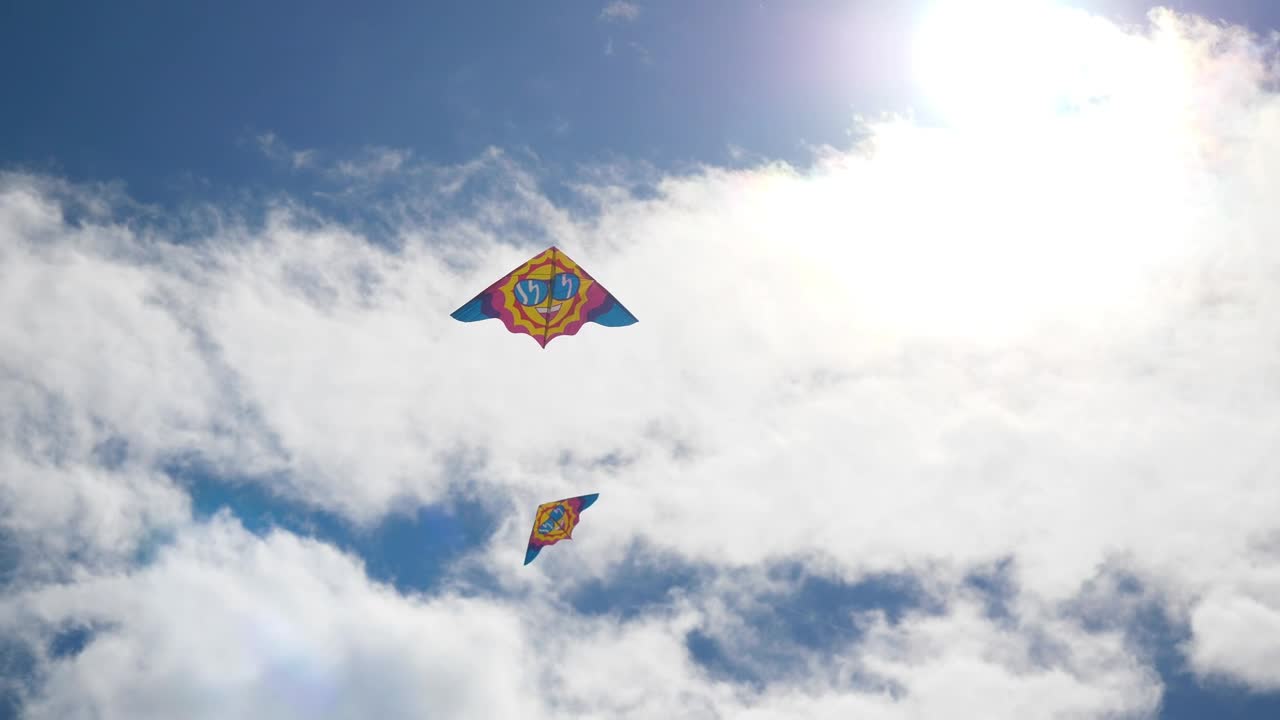 Stock Video Flying Kites In A City Park Live Wallpaper For PC - Free Download