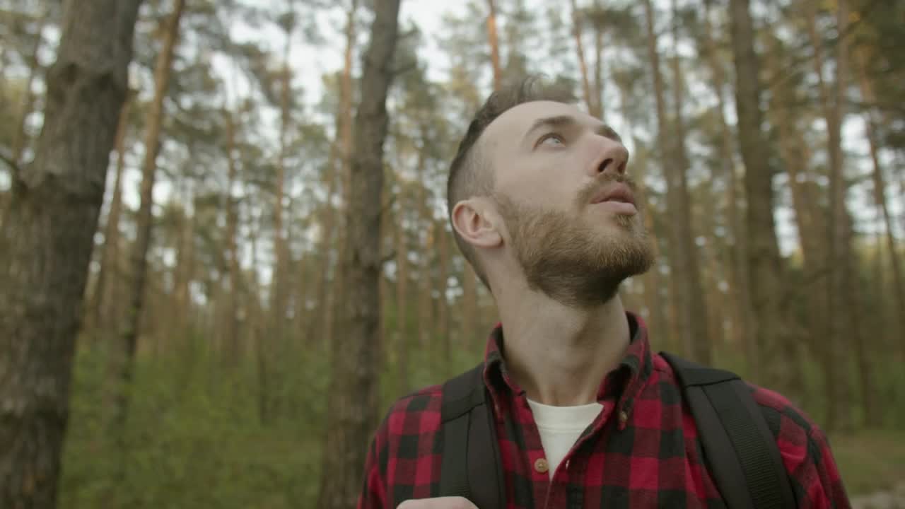 Video Stock Cinematic View Of Man Enjoying Forest Air Live Wallpaper For PC - Free Download