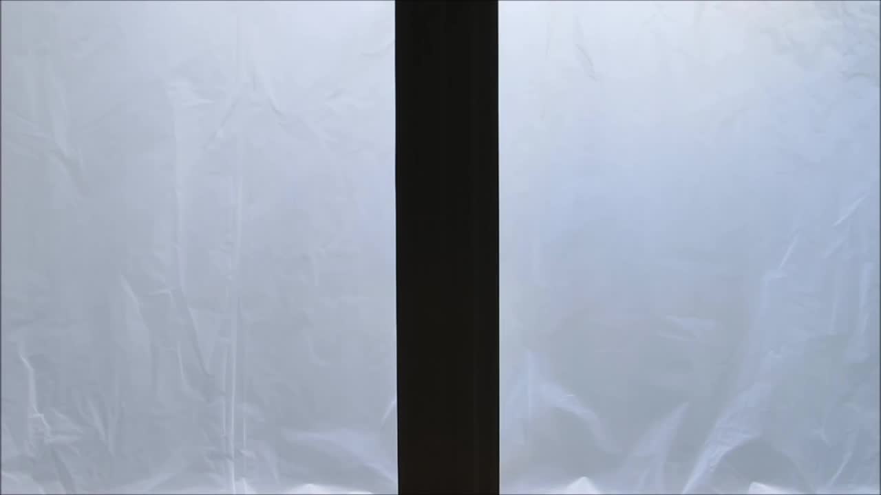 Zombie Window Live Wallpaper - Free Download
