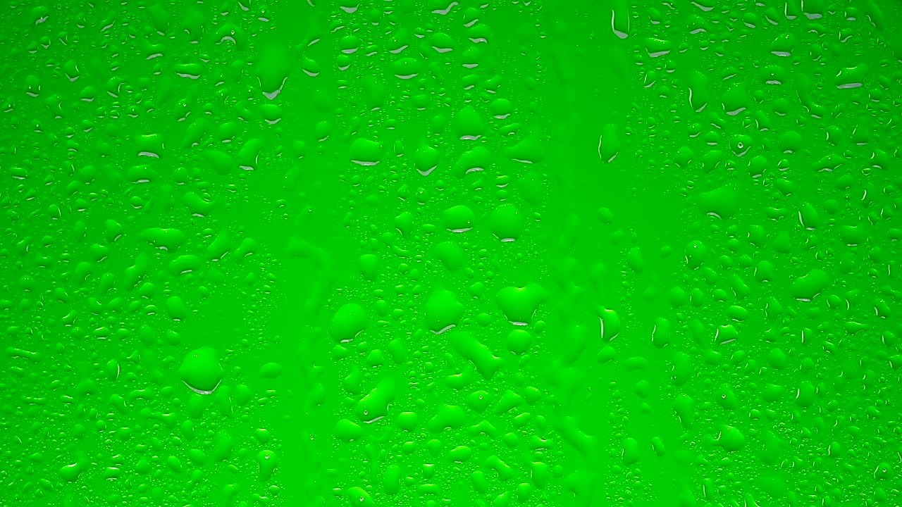 Free Video Stock transparent water drops on a green surface Live Wallpaper - Free Download
