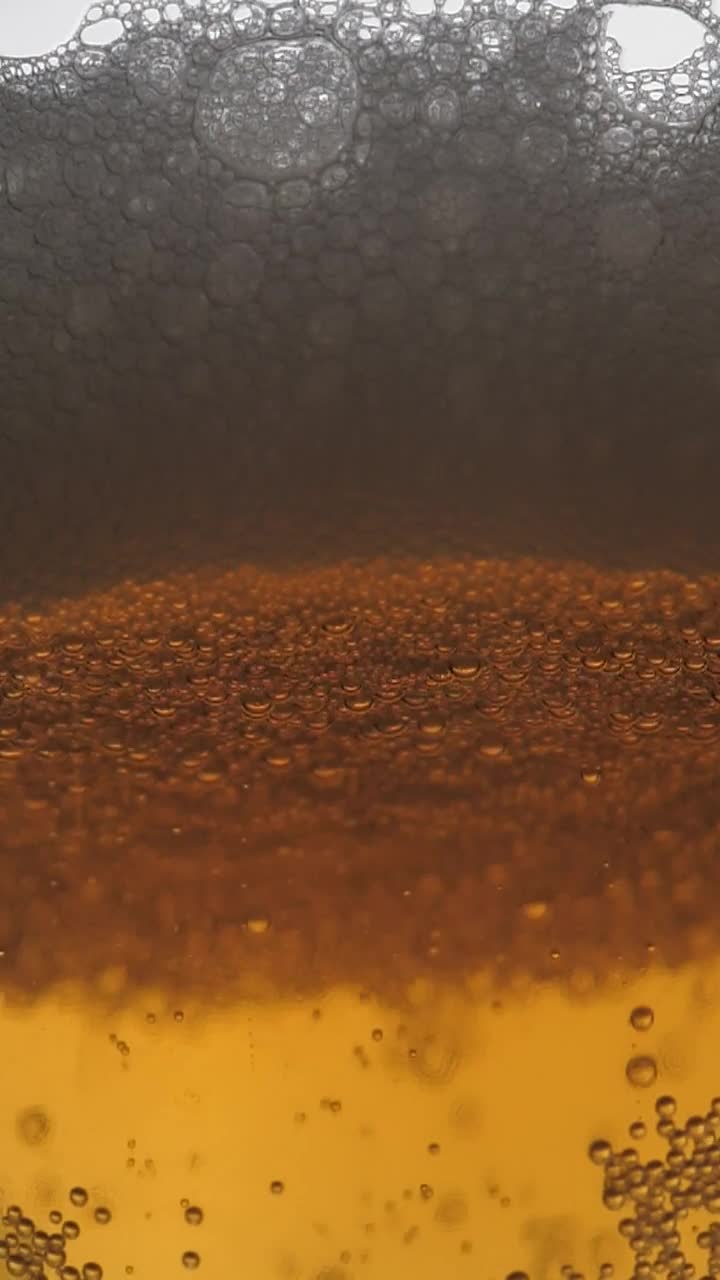 Stock Video Glass While They Serve More Beer Live Wallpaper For PC - Free Download
