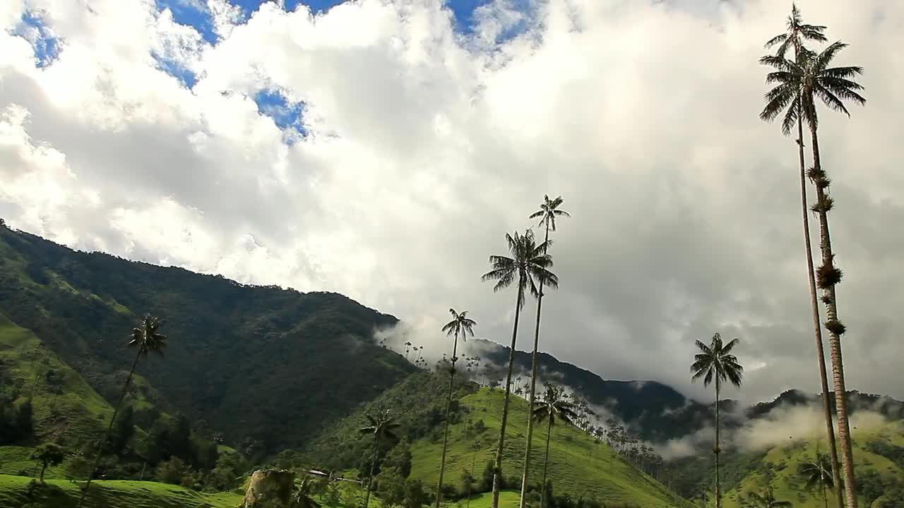 Video Stock Clouds Moving Over Mountains And Palm Trees Live Wallpaper For PC - Free Download