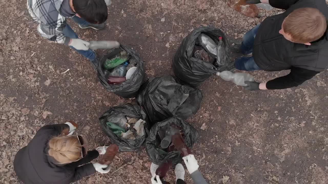 Stock Video Group Of Volunteers Recycling And Cleaning Garbage Live Wallpaper For PC - Free Download