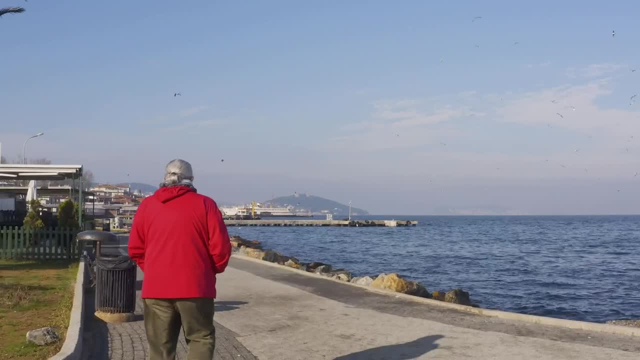 Stock Video Man Walking By The Ocea Animated Wallpaper - Free Download