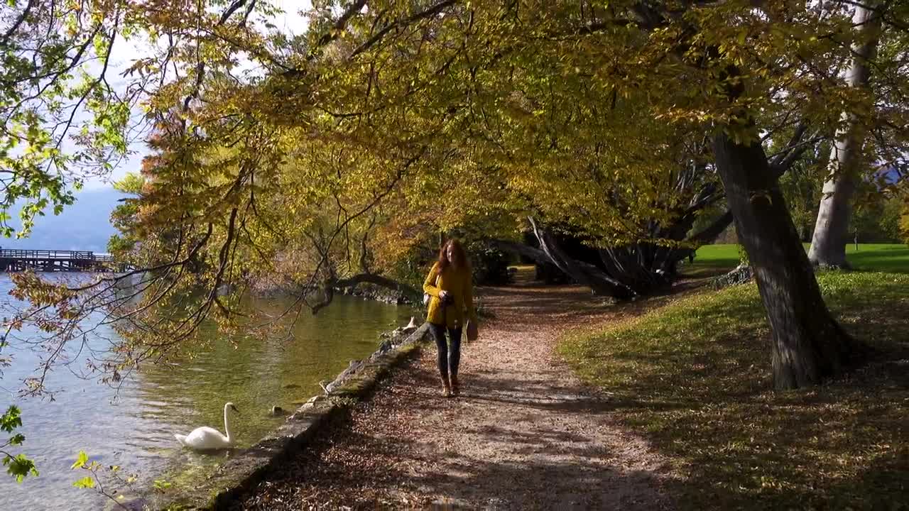 Free Video Stock tourist woman walking along the lake shore Live Wallpaper - Free Download