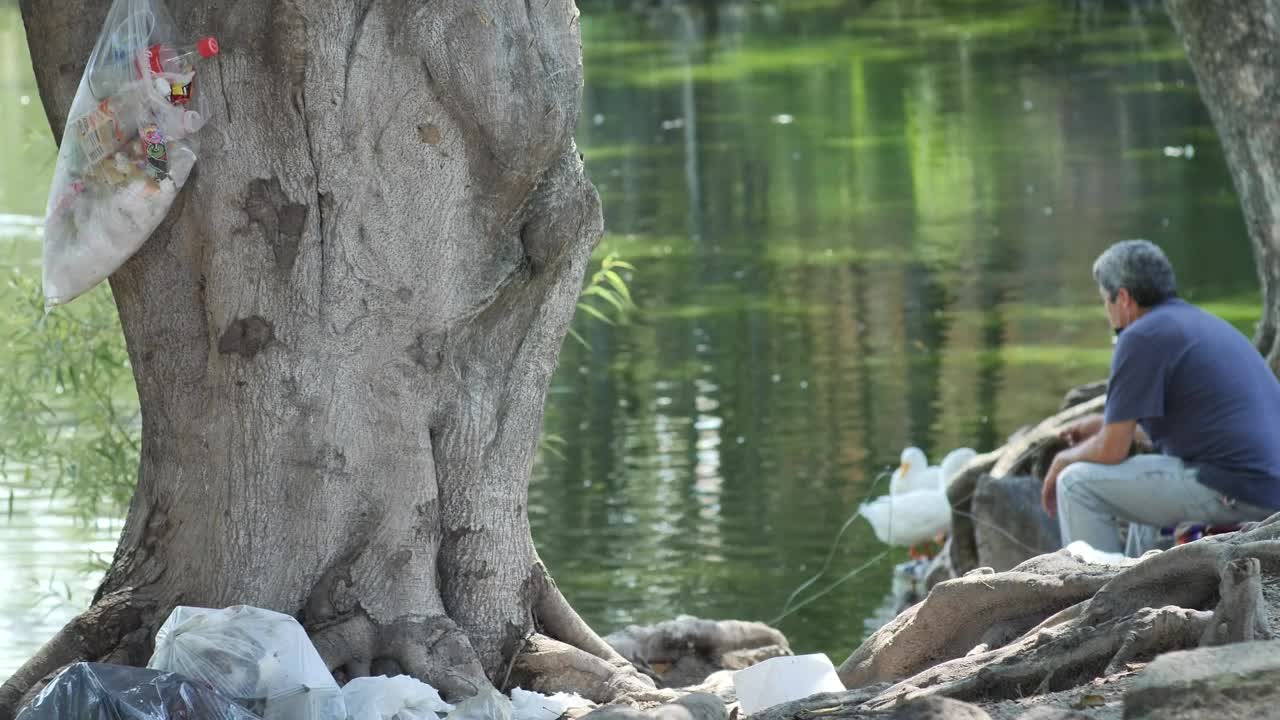 Stock Video Man Sitting On The Bank Of A River With Duck Animated Wallpaper - Free Download