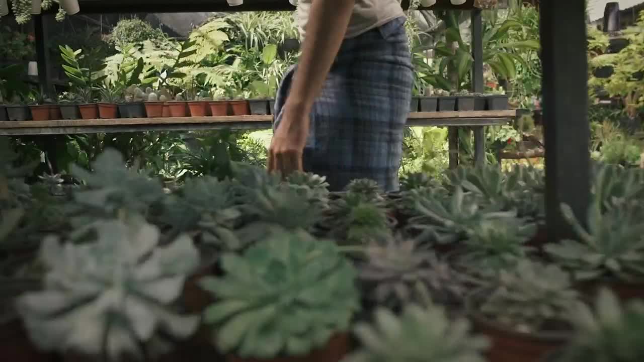 Stock Video Gardener Kneels In Front Of Potted Plants Live Wallpaper For PC - Free Download