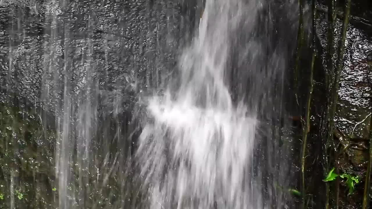 Stock Footage Waterfall In A Public Garden Live Wallpaper - Free Download