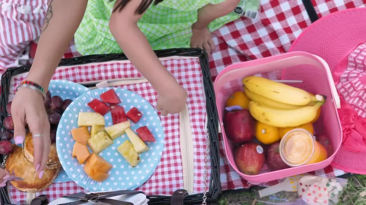 Free Video Stock top shot of a picnic in the park Live Wallpaper - Free Download