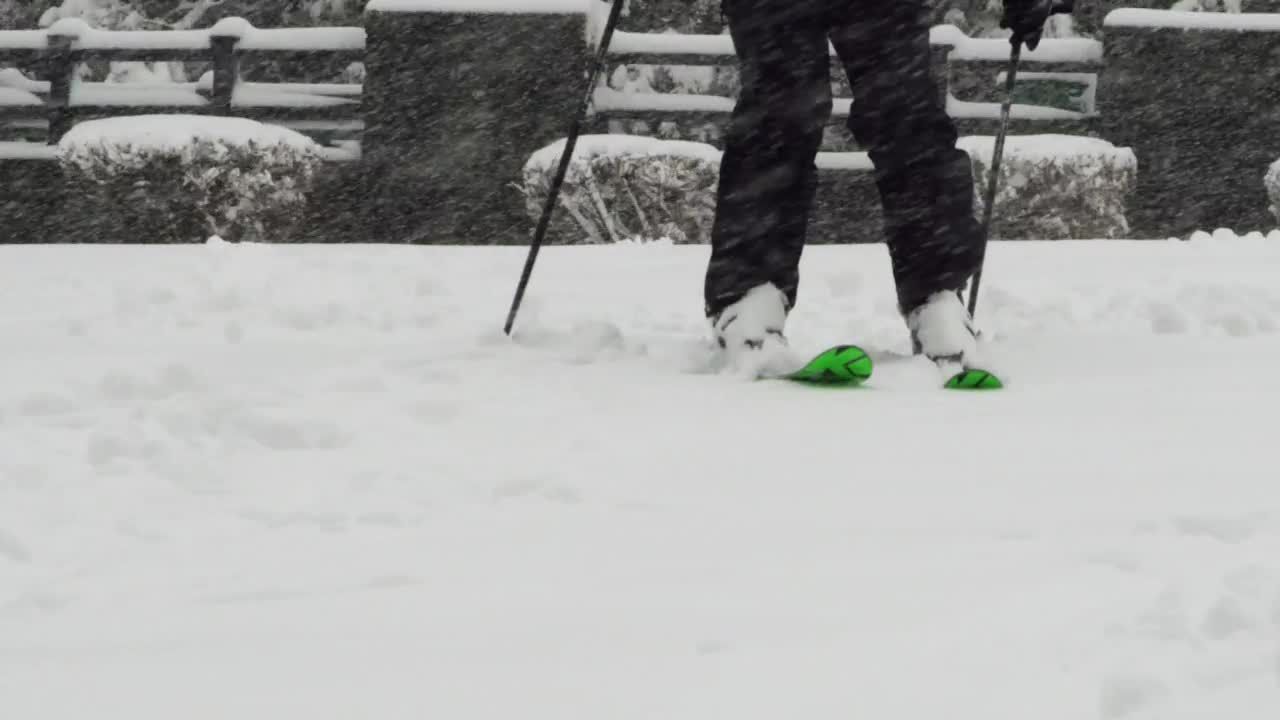 Free Video Stock Skiing Through A Park Live Wallpaper - Free Download