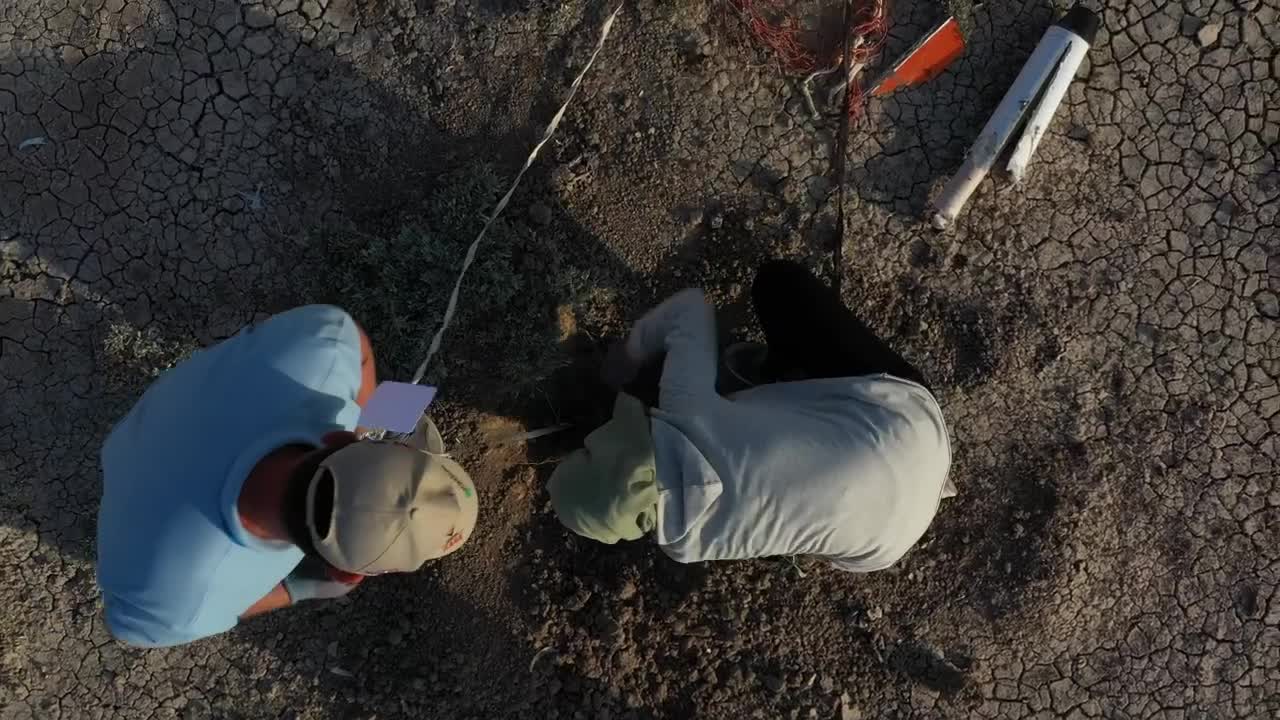 Stock Video Engineers Digging In The Sand Live Wallpaper For PC - Free Download