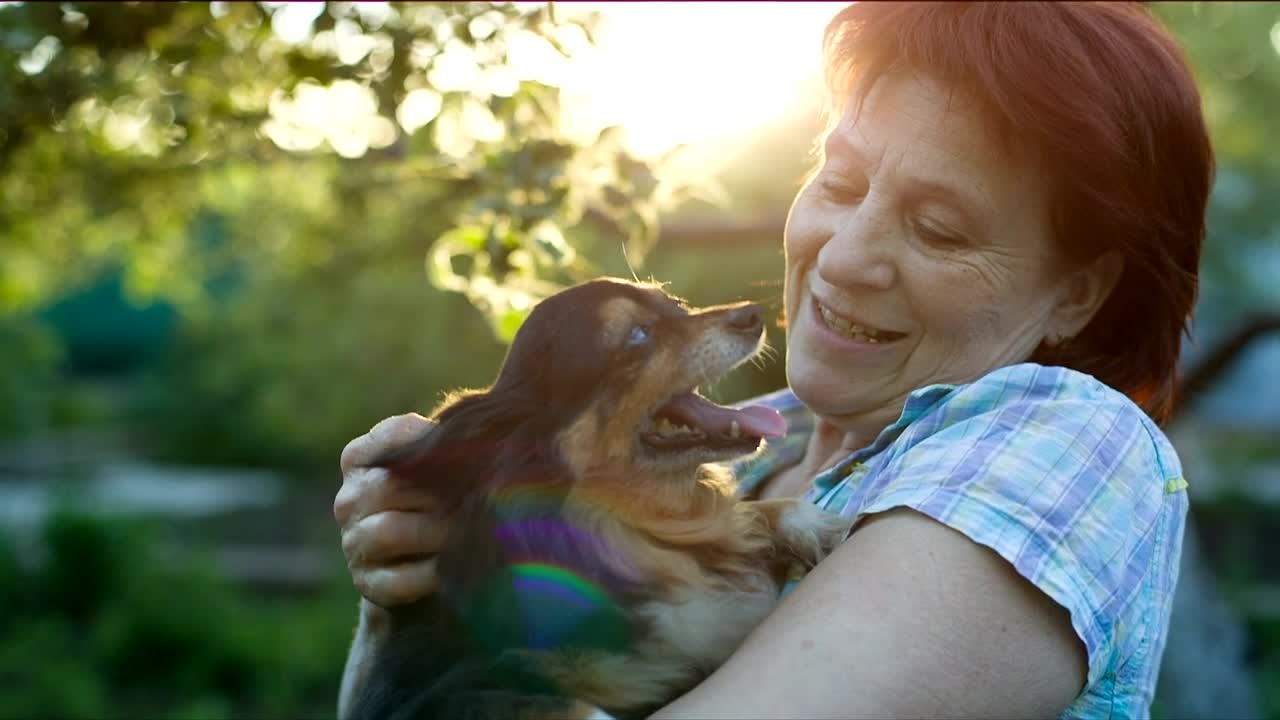Stock Video Happy Lady Caresses Her Little Dog Animated Wallpaper - Free Download