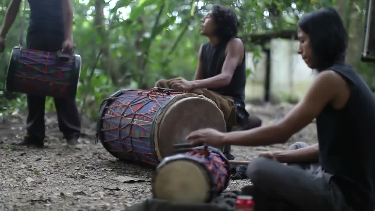 Stock Video Drummers At The Jungle Live Wallpaper For PC - Free Download