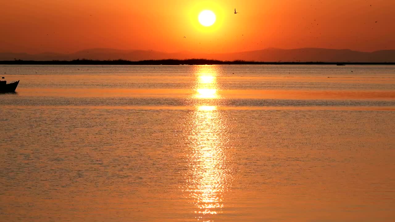 Stock Video Fishing Boat Crossing The Sea Live Wallpaper For PC - Free Download