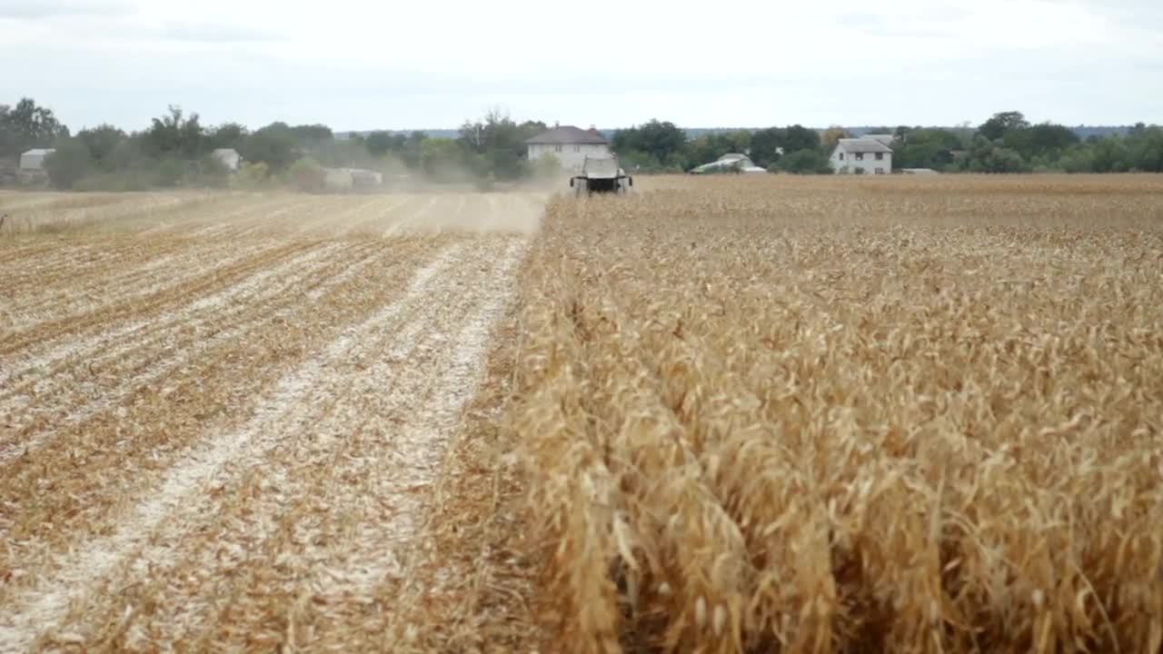 Stock Video Harvester Cutting Down Crops Animated Wallpaper - Free Download