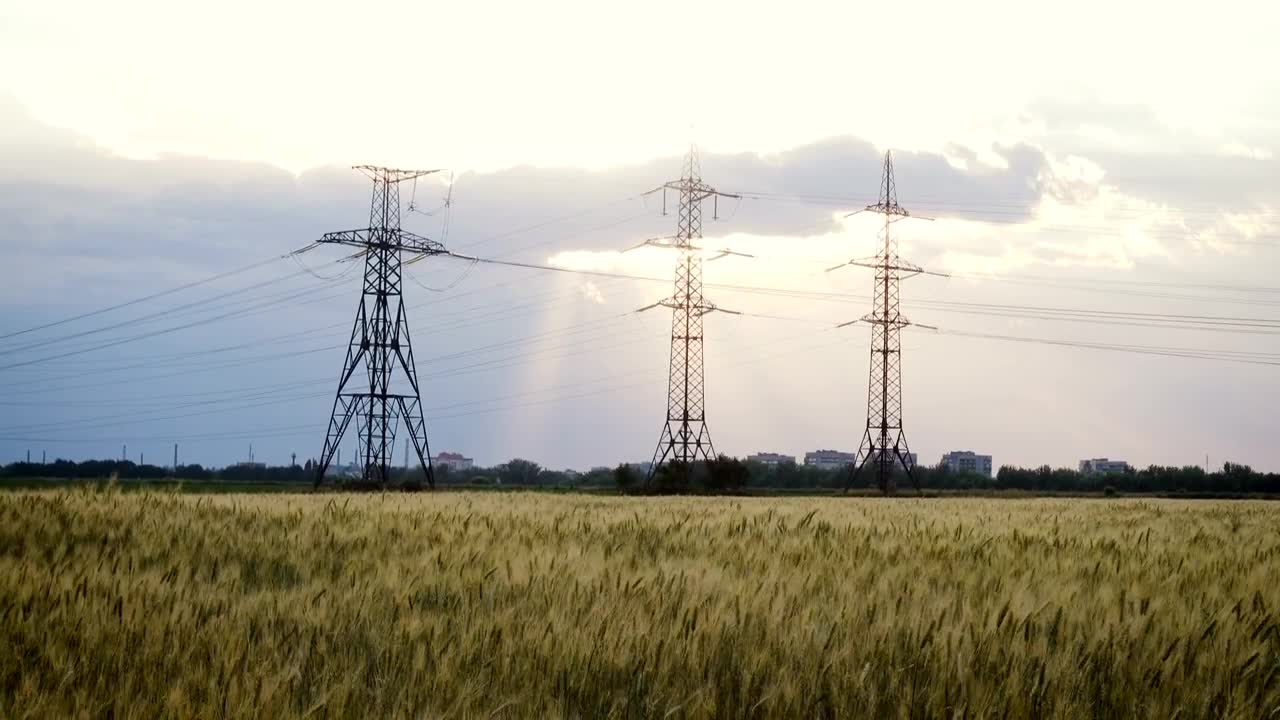 Stock Video Electric Towers In A Wheat Field Live Wallpaper For PC - Free Download