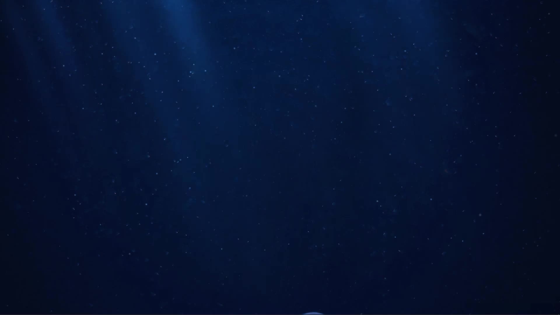 Relaxing Ocean JellyFish HD Live Wallpaper - Free Download