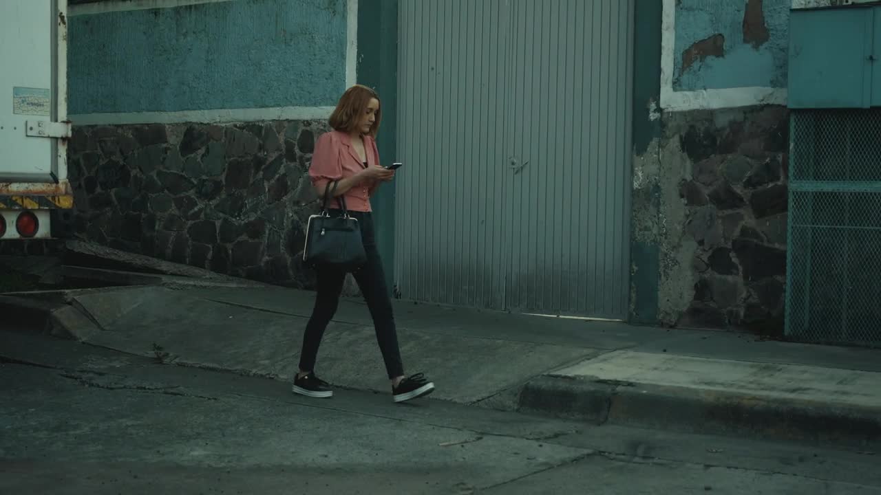 Free Video Stock thief steals a womans purse on the street Live Wallpaper - Free Download