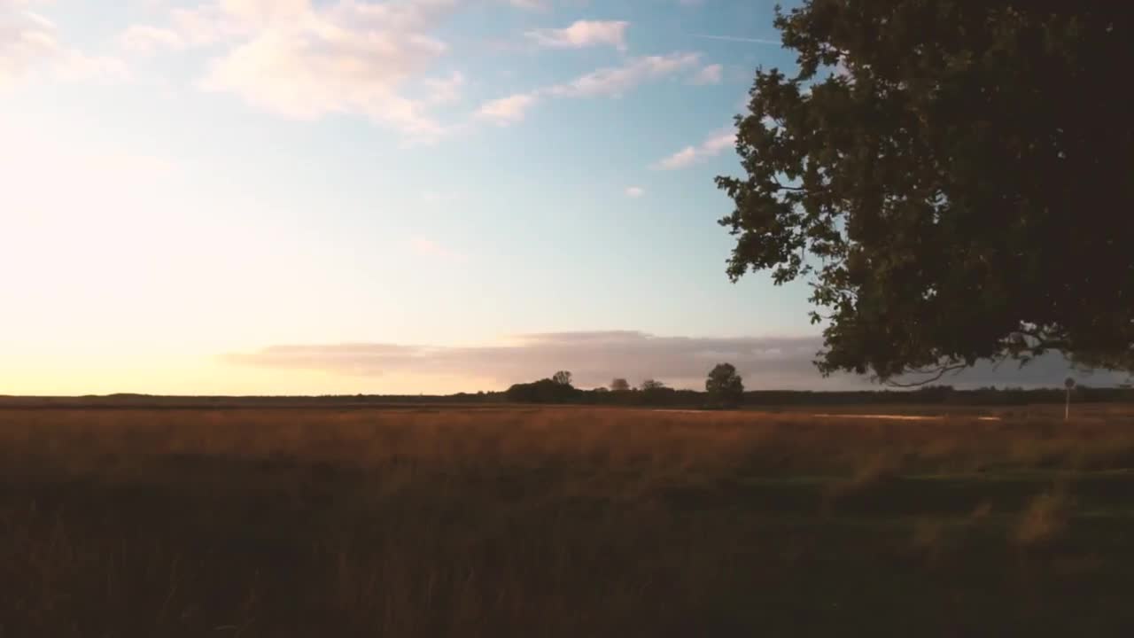Free Video Stock sunset over fields of tall dry grass Live Wallpaper - Free Download