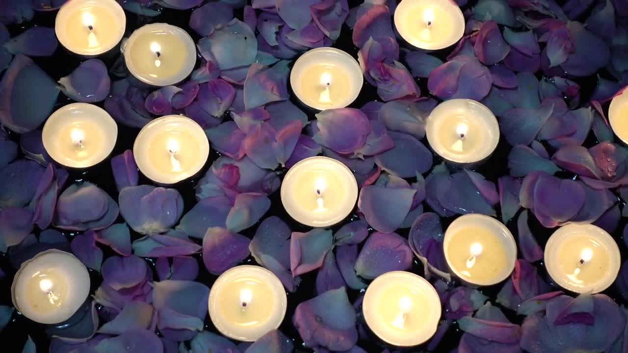 Free Stock Video Romance Details Candles Floating Among Roses Live Wallpaper - Free Download