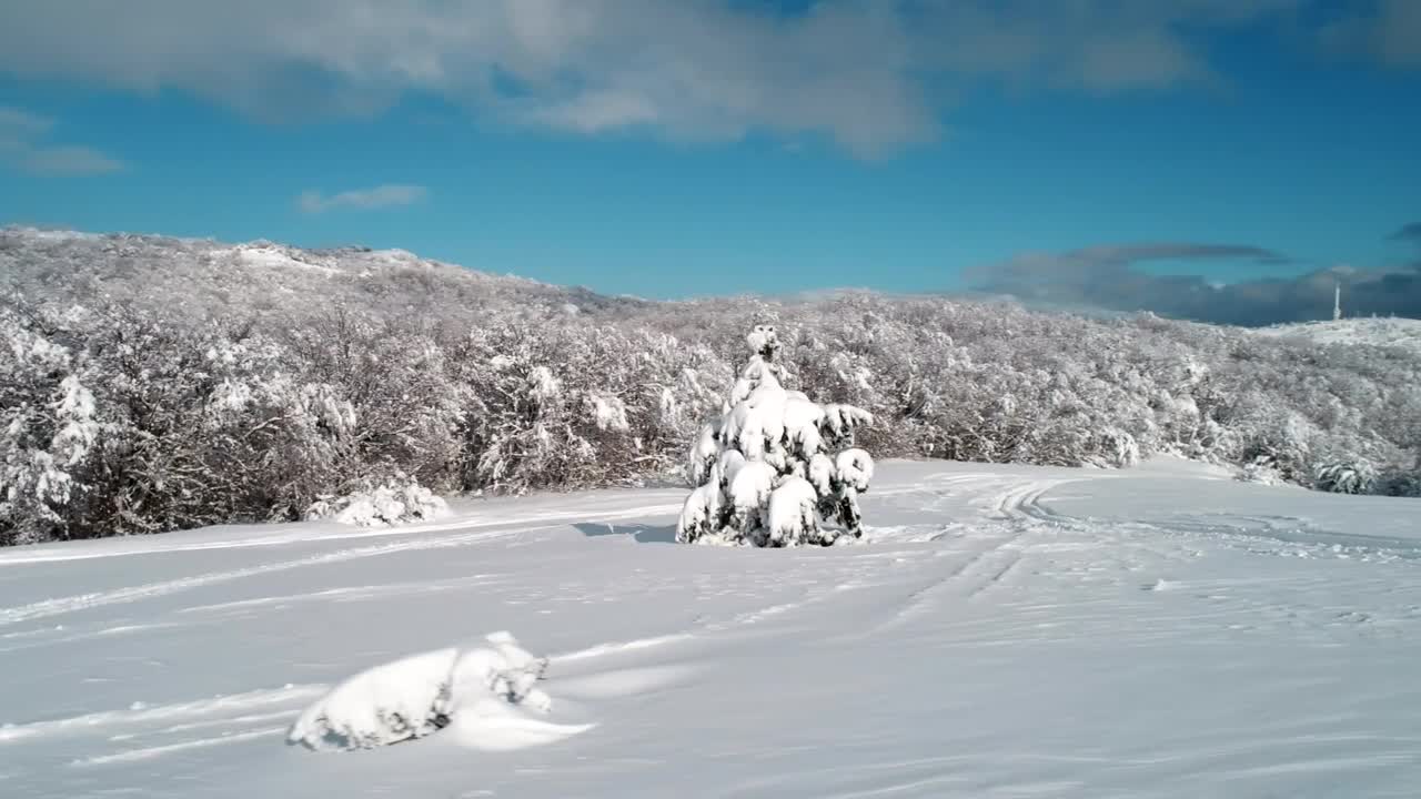 Stock Video Deep Snow Covering The Countryside Live Wallpaper For PC - Free Download