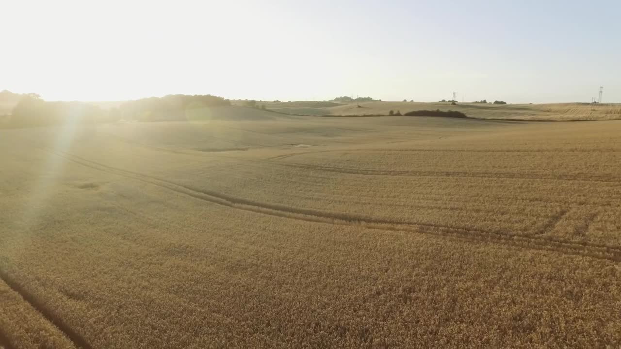 Stock Video Farmland Ready For Harvesting Live Wallpaper For PC - Free Download