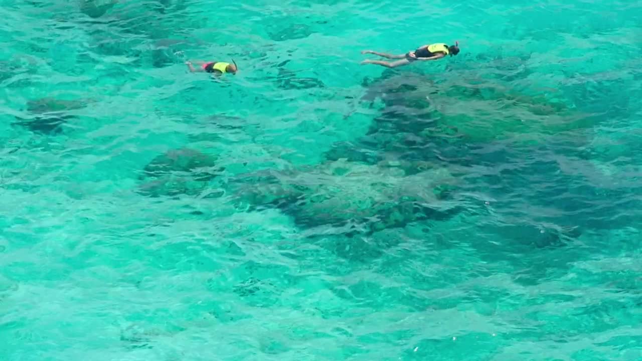Free Video Stock Snorkeling On Turquoise Waters Live Wallpaper - Free Download