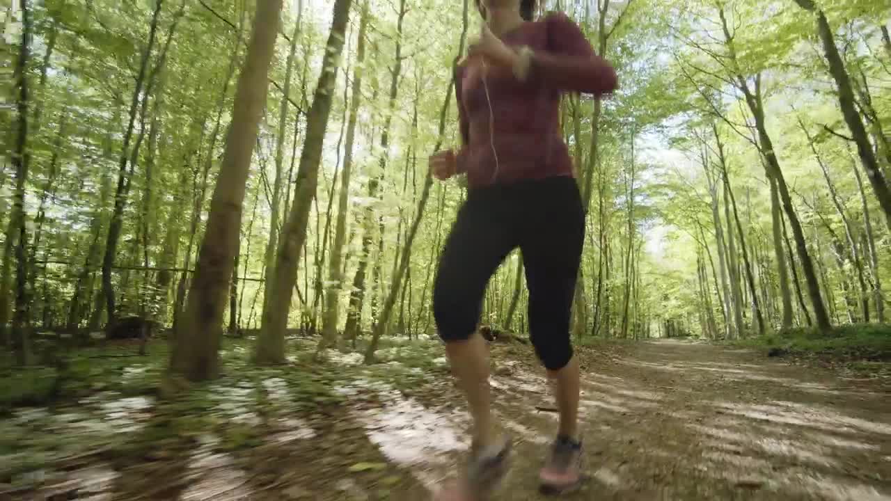 Video Stock Quickly Running Through Woodland Live Wallpaper Free - Free Download