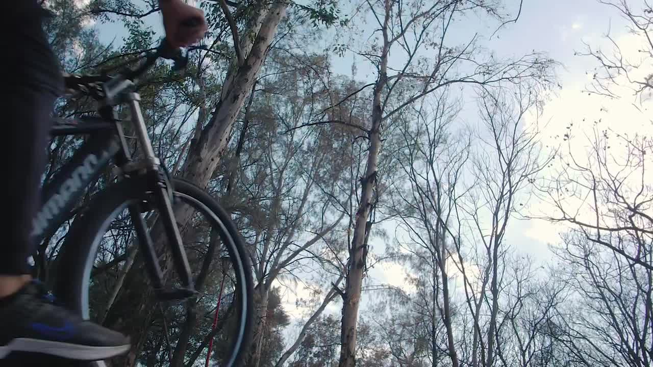 Stock Video Cyclist Going Up A Slope In A Forest Live Wallpaper For PC - Free Download