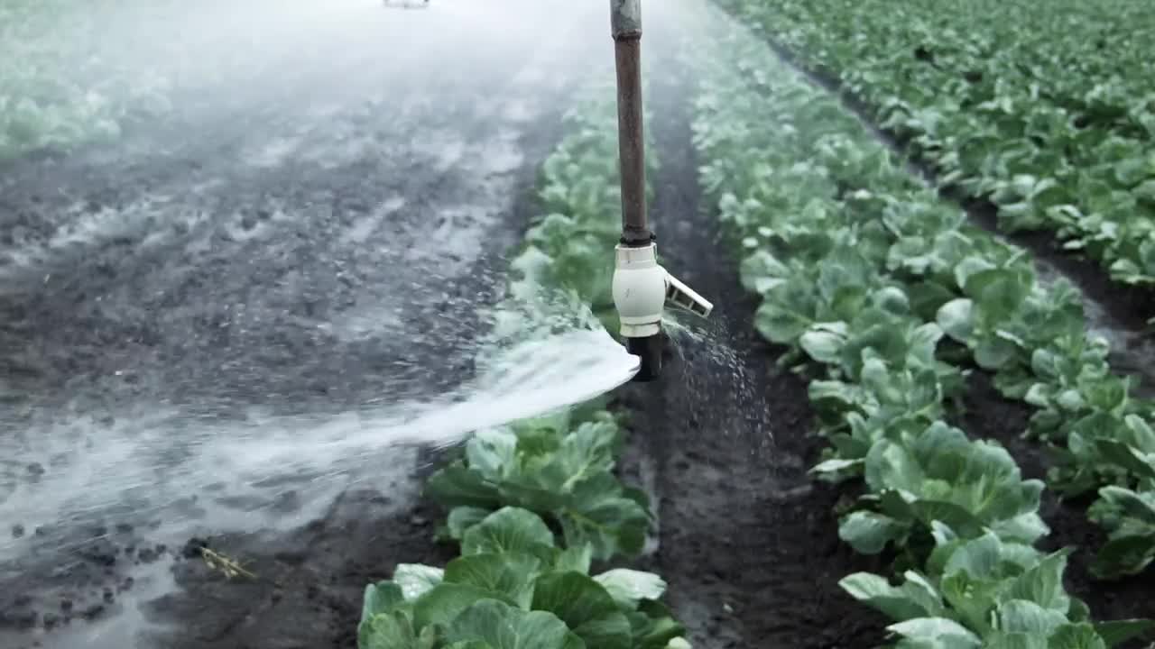 Stock Footage Watering An Agricultural Field Live Wallpaper - Free Download