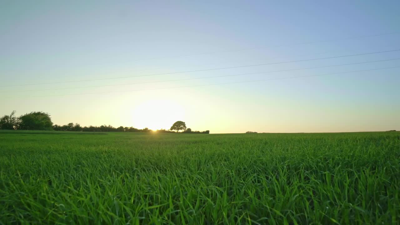 Free Video Stock Sunlight Over Fields Live Wallpaper - Free Download