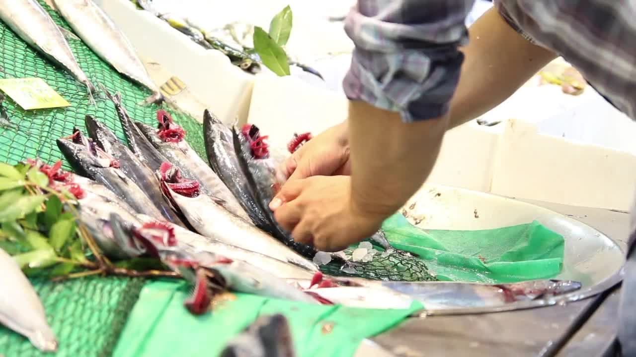 Stock Video Fish Worker Putting On A Display Live Wallpaper For PC - Free Download