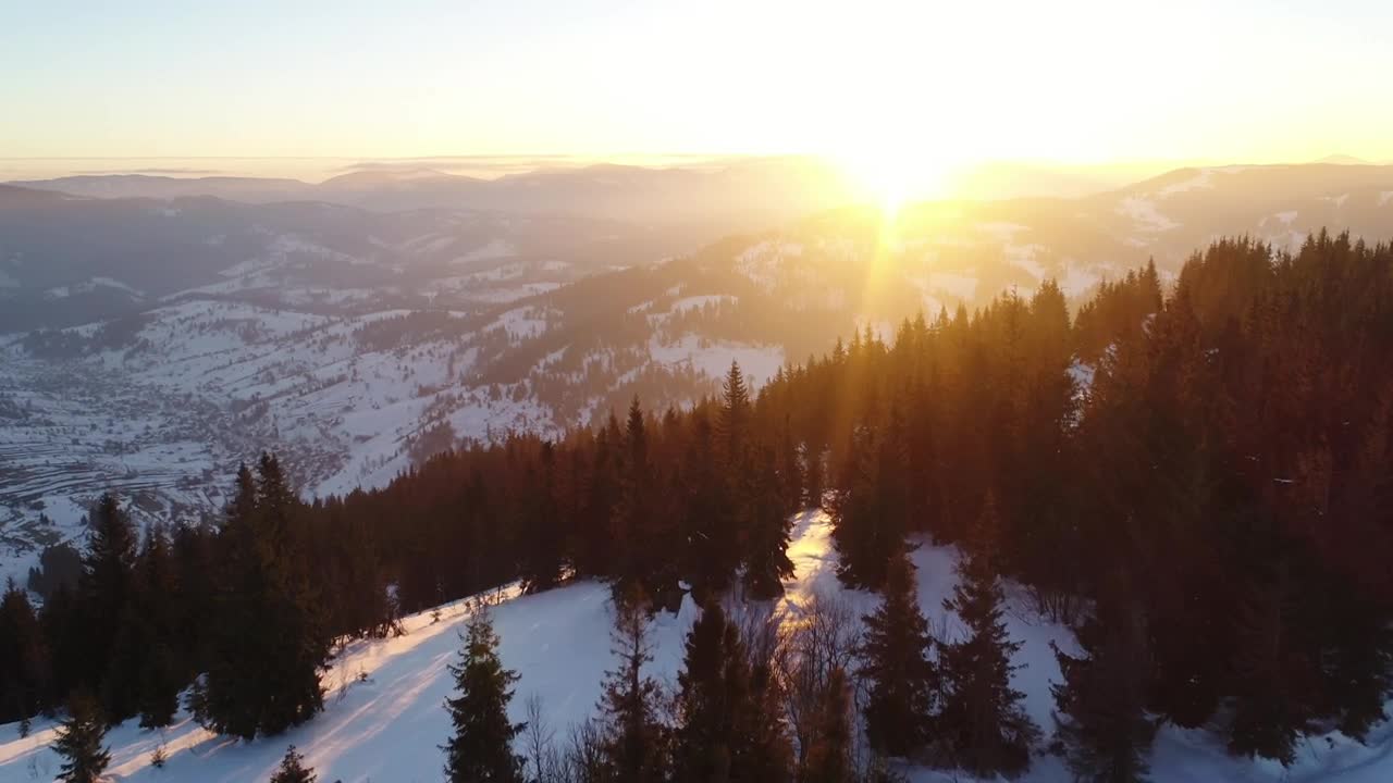 Free Video Stock sunset sunlight glaring in a wintry forest Live Wallpaper - Free Download