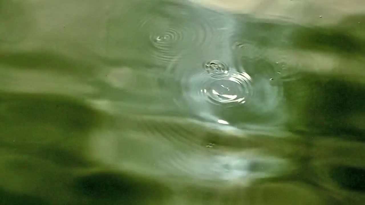 Stock Video Drops Across A Shallow Lake Live Wallpaper For PC - Free Download
